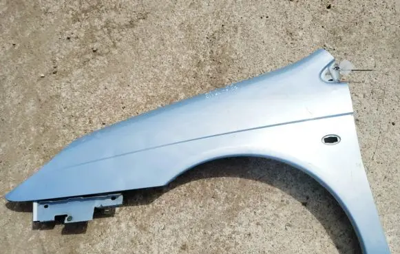 Citroen C5 Fender zydras