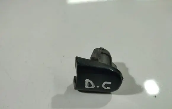 Volkswagen PASSAT B5 Loading door cover/cap 