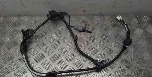 Other wiring loom