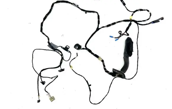 BMW X5 E70 Front door wiring loom 9116976 7184659