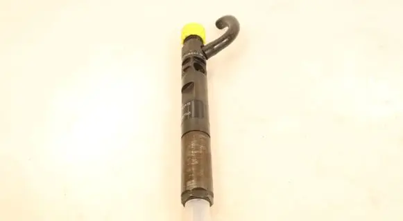 Renault Fluence Fuel injector H8200827965