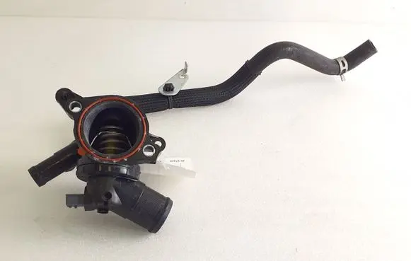 Thermostat/thermostat housing