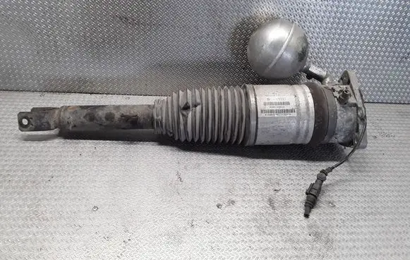 Volkswagen Phaeton Rear shock absorber/damper 3D0616001H