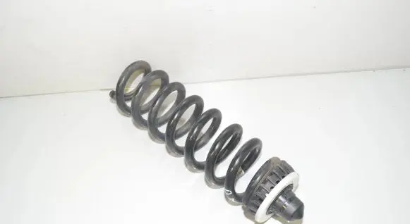 BMW 3 G20 G21 Rear coil spring 6889971 33536889971