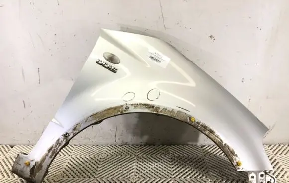 Suzuki SX4 Fender