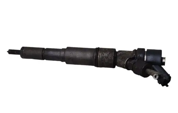 Renault Kangoo II Fuel injector 0445110049