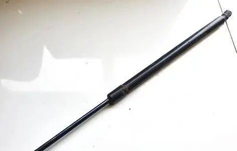 Tailgate/trunk strut/damper