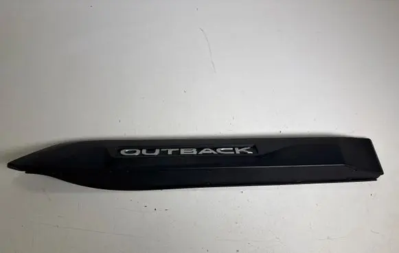 Subaru Outback (BT) Rear door trim (molding) 