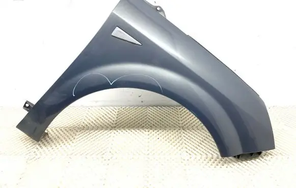 Renault Scenic II - Grand scenic II Fender