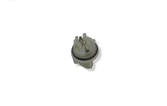 Jaguar S-Type Tail light bulb cover holder 14775400 XR855196