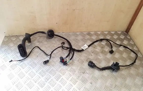 Front door wiring loom