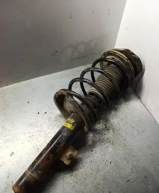 Peugeot 307 Front shock absorber with coil spring