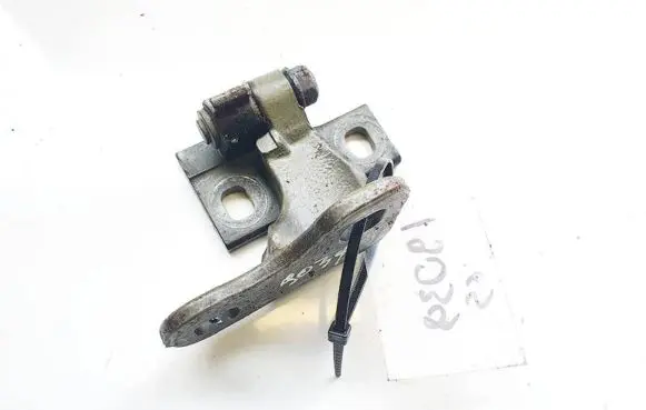 Rear door lower hinge