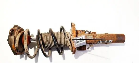 Skoda Roomster (5J) Front shock absorber/damper 