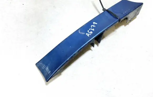 Rear/tail light trim molding