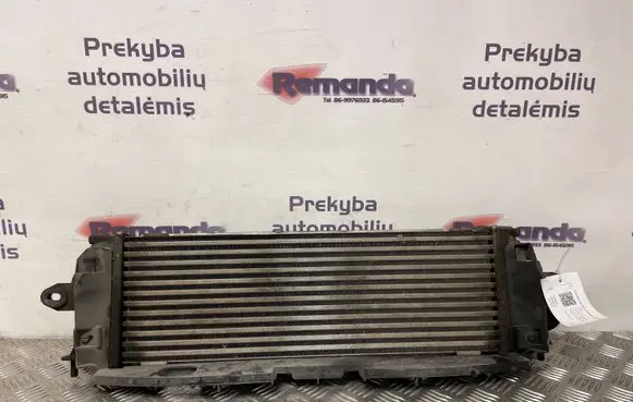 Opel Vivaro Intercooler radiator 988650BB