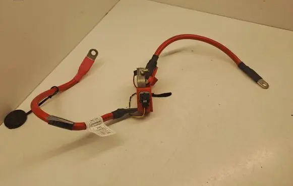 BMW 4 F32 F33 Positive cable (battery) 10304410 EED956 6834543