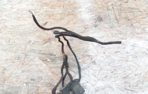 Engine installation wiring loom