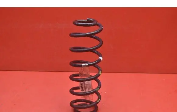 Hyundai Kona I Rear coil spring 