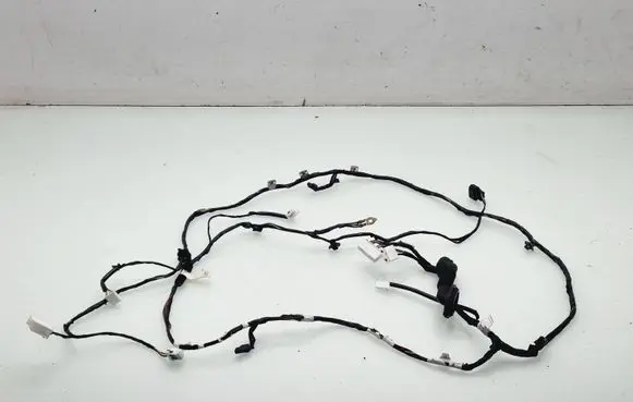 KIA Sorento Tailgate/trunk wiring harness 916802P010
