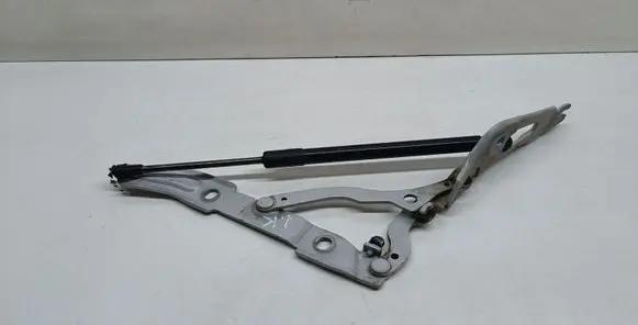 BMW 1 E82 E88 Tailgate/trunk/boot hinge 7166751