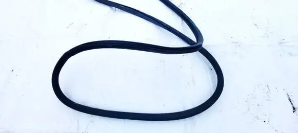 Chrysler 200 Rubber seal rear door 