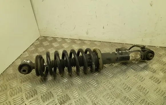 Peugeot 508 II Rear shock absorber with coil spring 9836290480