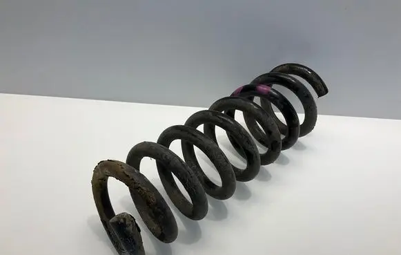Rear coil spring