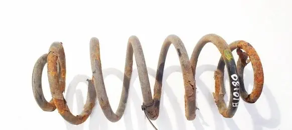Rear coil spring