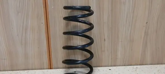 Rear coil spring