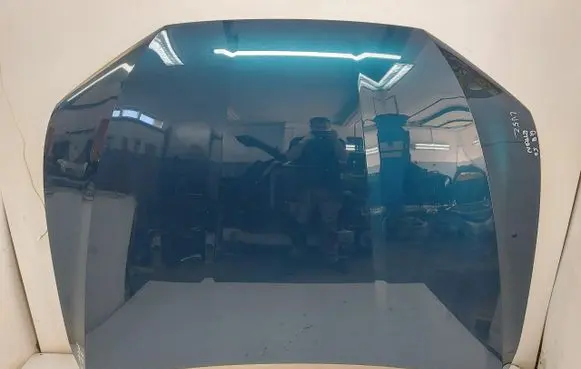 Engine bonnet/hood