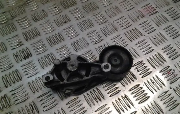 Skoda Octavia Mk2 (1Z) Generator/alternator belt tensioner 03G903315