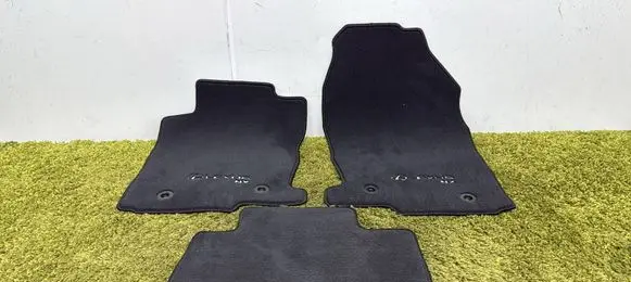 Lexus NX Car floor mat set 8888-91919