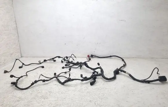 Engine installation wiring loom