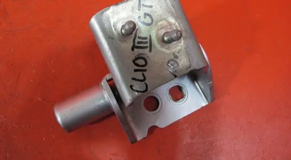 Renault Clio III Rear door lower hinge