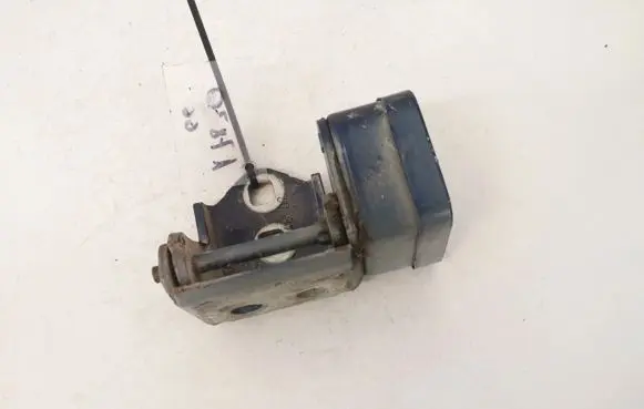 Renault Megane II Rear door lower hinge