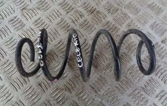 Rear coil spring