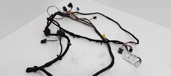 Mercedes-Benz CLK A209 C209 Front door wiring loom A2095407005