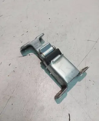 Renault Kangoo II Front door upper hinge 117113602E 3810