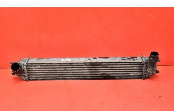 Renault Laguna III Intercooler radiator H9467002
