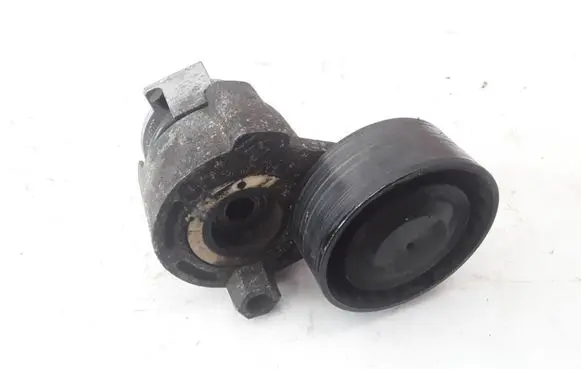 Renault Megane III Generator/alternator belt tensioner 8200608550