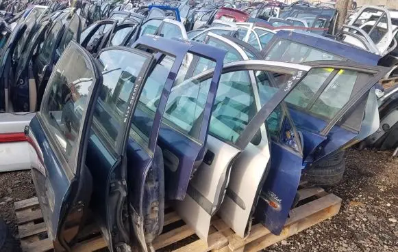 Renault Laguna I Front door melynos