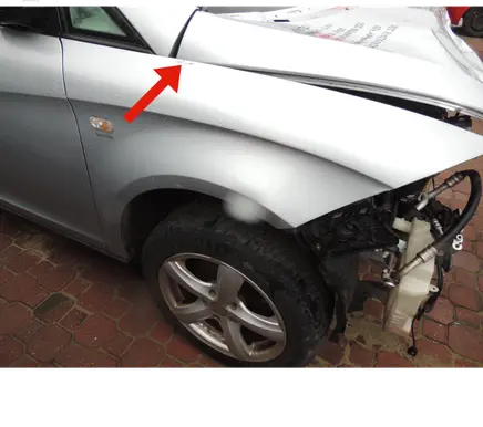 Seat Toledo III (5P) Fender