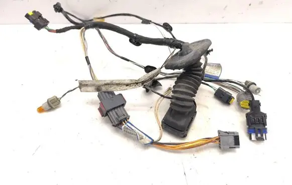 Front door wiring loom