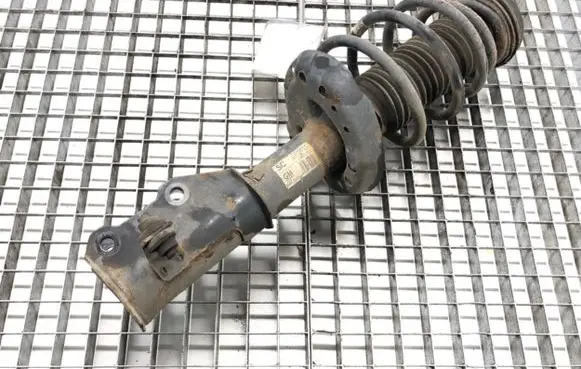 Opel Insignia A Front shock absorber/damper 13245967