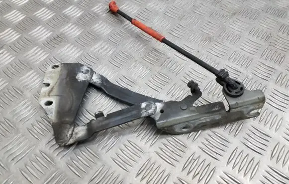 Volkswagen Golf Plus Engine bonnet/hood hinges 5M0823301