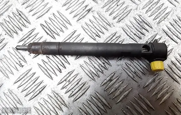 Opel Antara Fuel injector