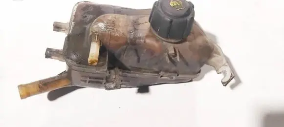 Renault Scenic III - Grand scenic III Coolant expansion tank/reservoir 217100005r