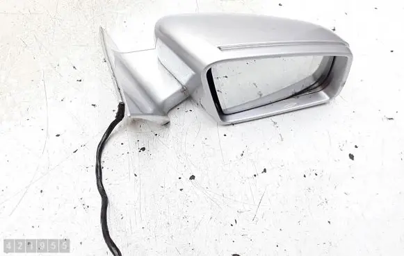Mercedes-Benz S AMG W221 Front door electric wing mirror e1021047
