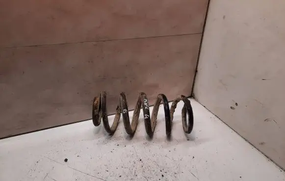 Toyota RAV 4 (XA30) Rear coil spring